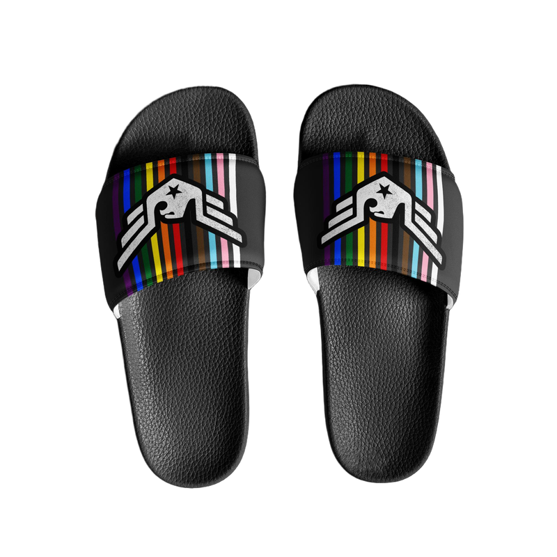 Pride Slides