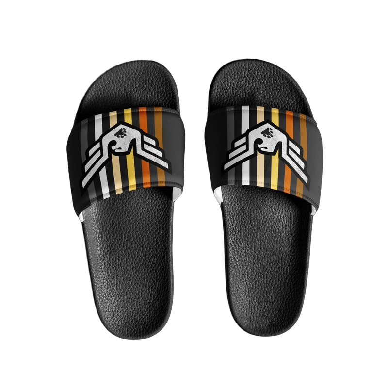 Bear Pride Slides